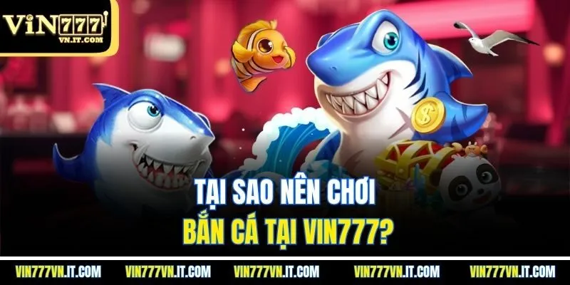 Tại sao nên chơi bắn cá tại Vin777?
